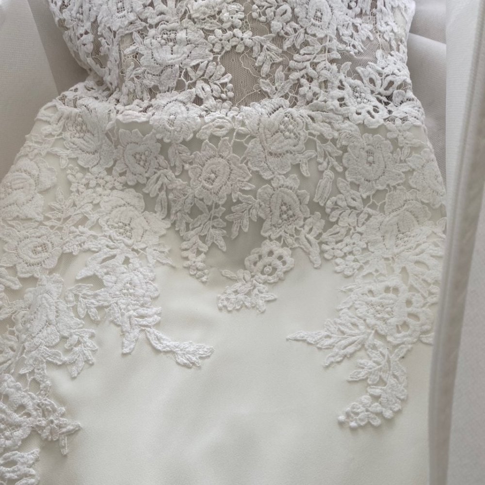 Pronovias Oseleta Wedding Dress - Picture 6 of 15